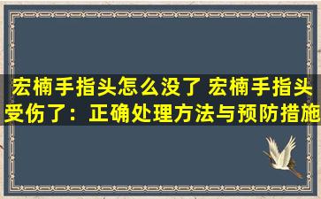 宏楠手指头怎么没了 宏楠手指头受伤了：正确处理方法与预防措施